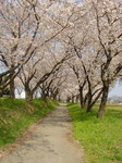 DSC01438.JPG