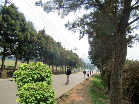 おばけ道路.JPG